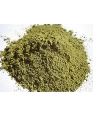 Hennè neutro  -  cassia obovata 