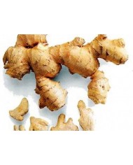 Zenzero taglio tisana o in polvere