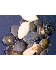 Zucca semi decorticati BIO 200 g.