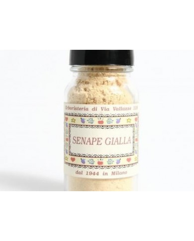 Senape gialla polvere