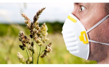 Pollini e Cambiamento Climatico