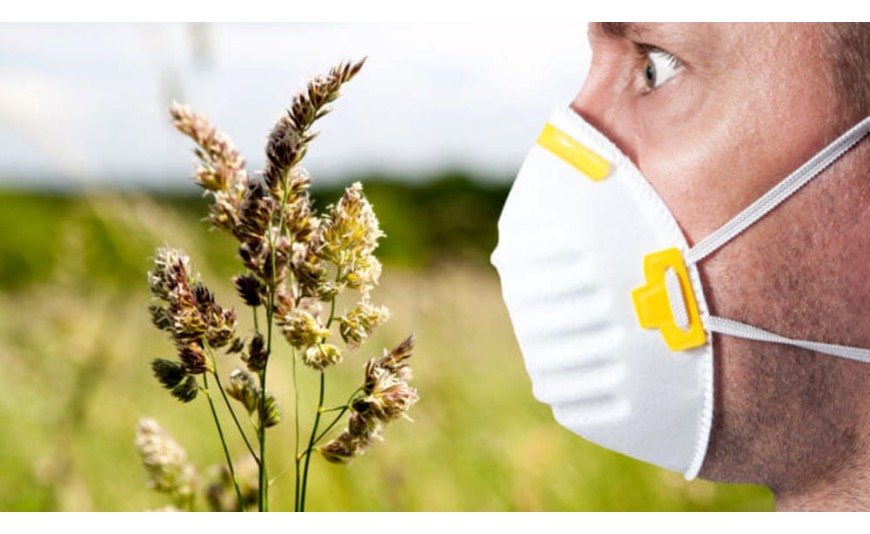 Pollini e Cambiamento Climatico Pollini e Cambiamento Climatico