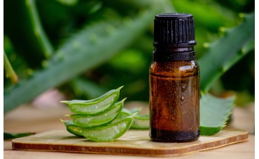 Oli Essenziali di Rosmarino e Origano: I Profumi del Mediterraneo per il Tuo Benessere